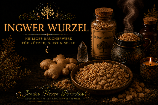 Ingwer Wurzel